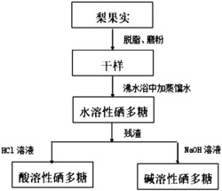 一种梨果肉硒多糖的提取方法