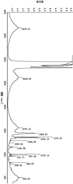 溶液法制备降冰片烯接枝聚丙烯的方法