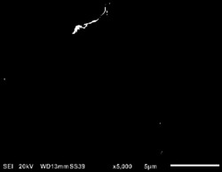 一种沙质地基场地的土壤固化方法