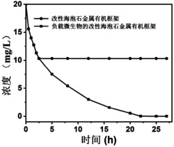 负载微生物的酸改性海泡石生物纳米复合材料及其制备方法与应用