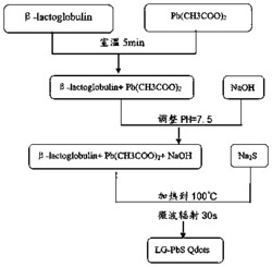 用于临床骨骼体内成像的量子点的制备方法及成像方法