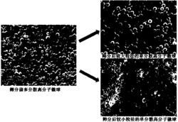 多分散高分子微球的筛分方法