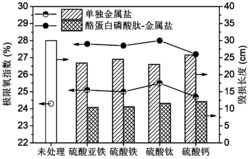 基于酪蛋白磷酸肽的蚕丝耐久性阻燃整理方法及阻燃蚕丝