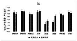 一种农田菌根化农作物高产高质的方法