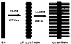 一种三维V2O5纳米线阵列/碳纤维布柔性正极材料及其制备方法