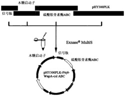 一步法高效制备小分子硫酸软骨素和小分子透明质酸的方法