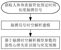 脉搏信号时空域结合模型判断年龄、健康状态及恶性心律失常识别的系统