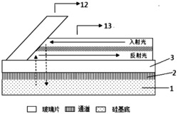 基于等离激元效应波导的实时生物检测装置及制备方法