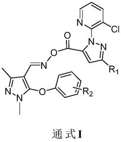 含吡啶联多氟吡唑结构的吡唑肟酯类化合物及其制备方法和用途