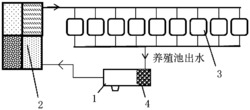 一种高效调控循环水养殖水体pH的石灰石用量估算方法