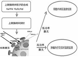 上转换纳米探针