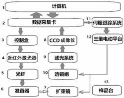 用于活性氧检测的荧光共振差动比率探针的合成方法及检测装置和检测方法