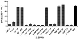 一种抗氧化肽及其应用