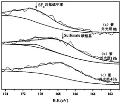 全氟烷基四氟硫甲撑苯乙烯共聚物及其应用