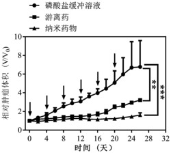 透明质酸-g-叶酸两亲性聚合物及其应用