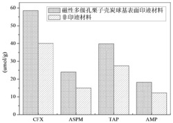 一种磁性多级孔栗子壳炭球基表面印迹材料及其制备方法和应用