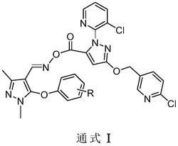 含1-(3-氯吡啶-2-基)吡唑结构的吡唑肟化合物及其制备方法和用途