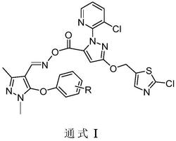 含N-(3-氯吡啶-2-基)吡唑结构的吡唑肟酯衍生物的制备和应用