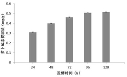 一种基于发酵法制备胭脂萝卜硫素的方法