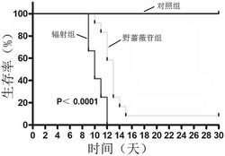 野蔷薇苷在制备治疗或预防辐射损伤的药物中的应用