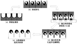 一种金属纳米颗粒阵列的大面积制备及柔性转移方法