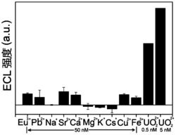 用于检测痕量铀酰离子的探针及基于其的便携式ECL检测器