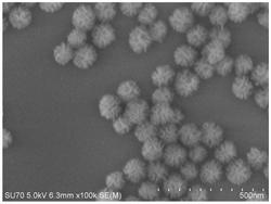 二氧化硅纳米星复合材料的功能化砂纸及其制备方法