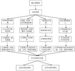 一种基于结构相似性差异度的色调映射图像质量评价方法