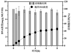 污泥中胞内外DNA的分离方法及其携带耐药基因的检测方法