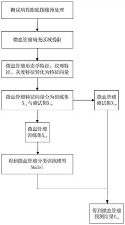 一种用于微血管瘤病历图像的超平面近邻分类方法