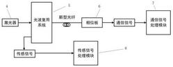 双信号传输光纤及应用该光纤的传输装置和方法