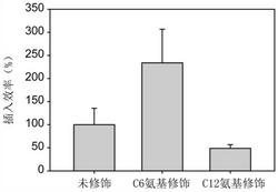 一种提高CRISPR-Cas9基因编辑中同源重组修复效率的方法