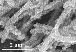 氧化钨纳米棒/碳化钛量子点/硫化铟纳米片Z型异质结复合材料及其制备方法与应用