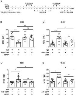 CD44抗体在制备治疗帕金森疾病的药物中的应用