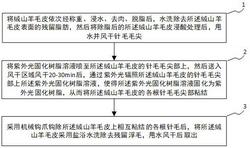 一种绒山羊针毛的拔除方法及装置