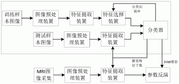 基于脑磁共振影像中磷酸化tau蛋白含量信息的检测系统