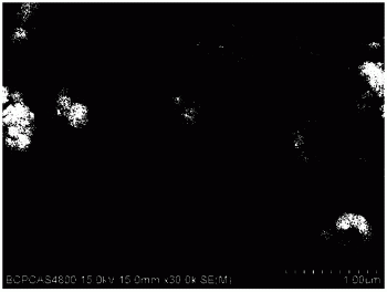 水热条件下相分离法获得Na 0.5 Bi 0.5 TiO 3 及Na-Ti-O纳米线的方法