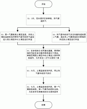 一种玄参种植方法