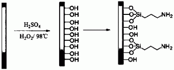 一种基于氨基改性聚苯乙烯的荧光传感器及其制备方法