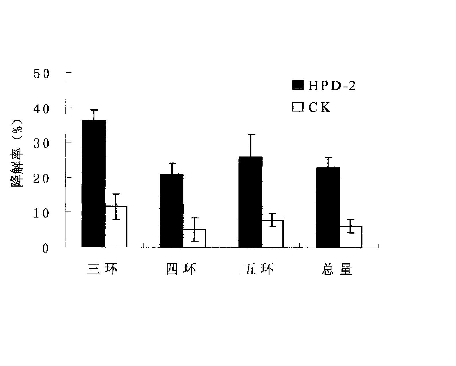 噬氨副球菌HPD