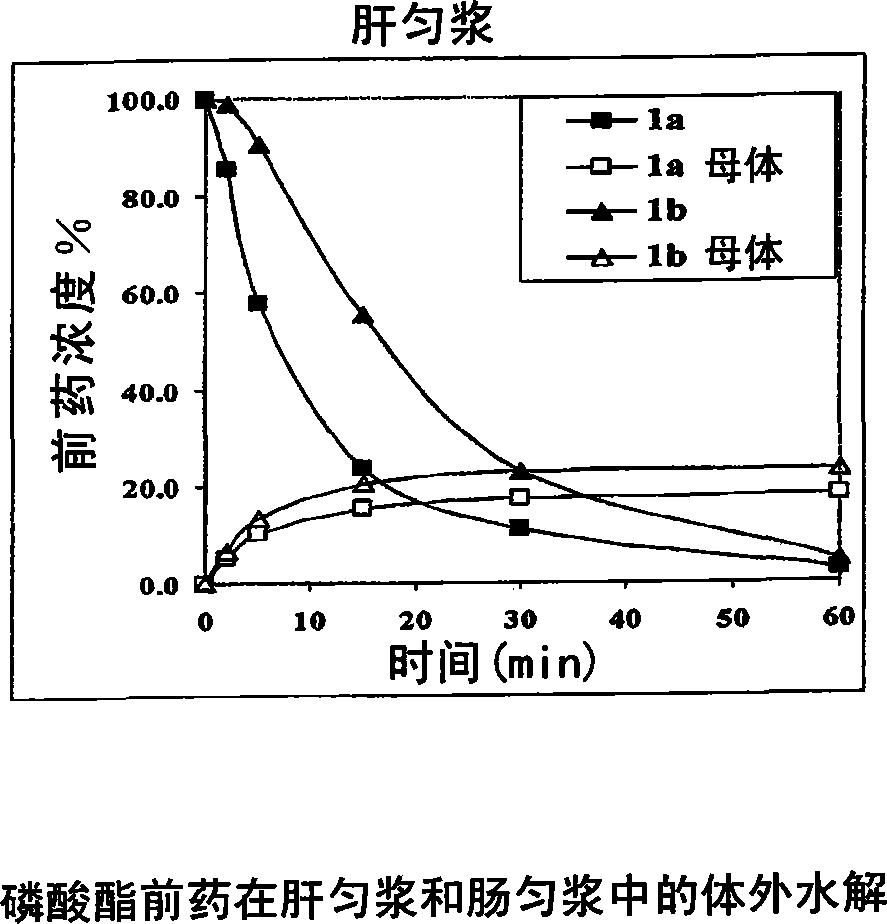 用作治疗剂的大环前药化合物