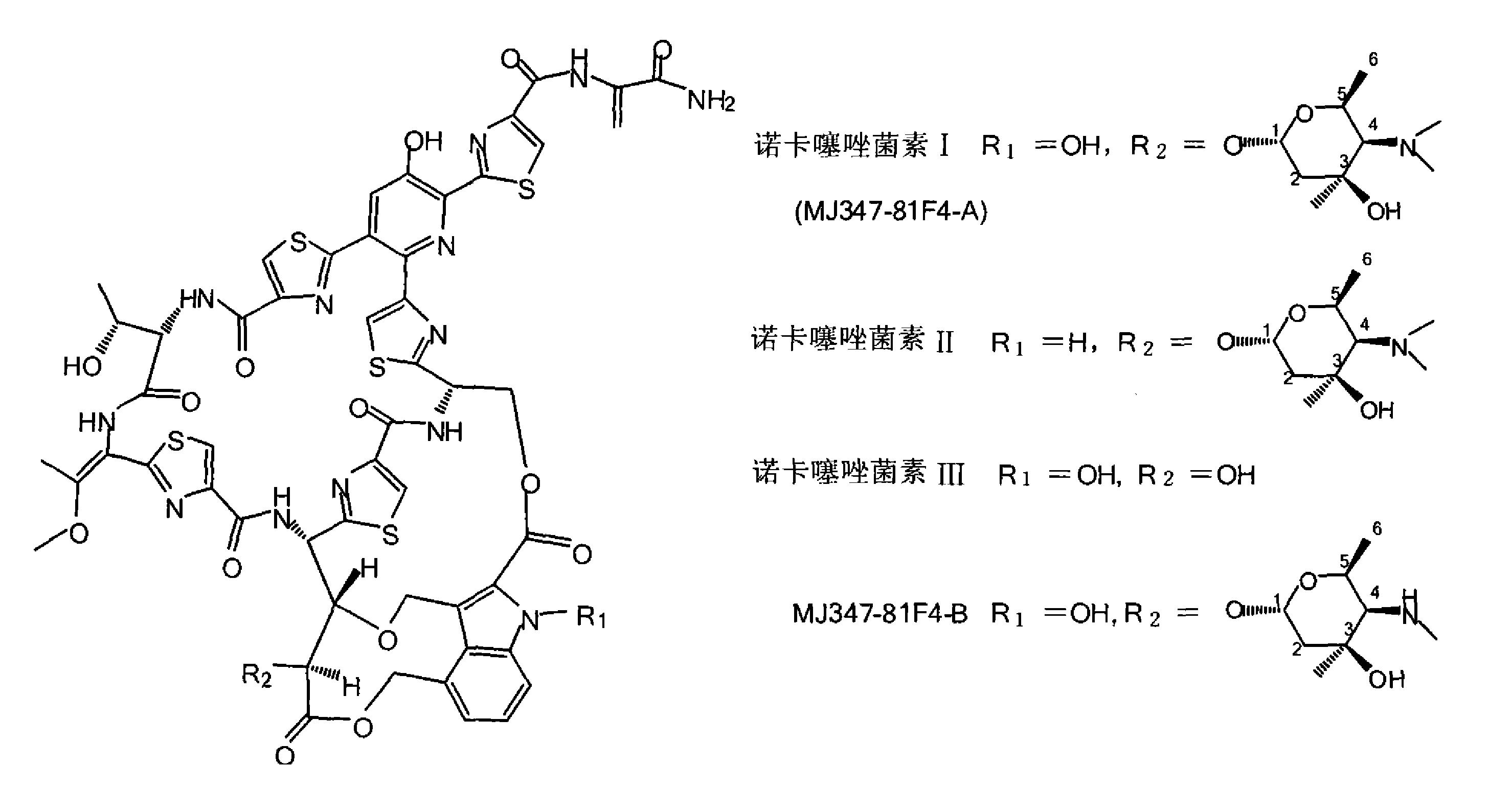 诺卡噻唑菌素的生物合成基因簇及其应用