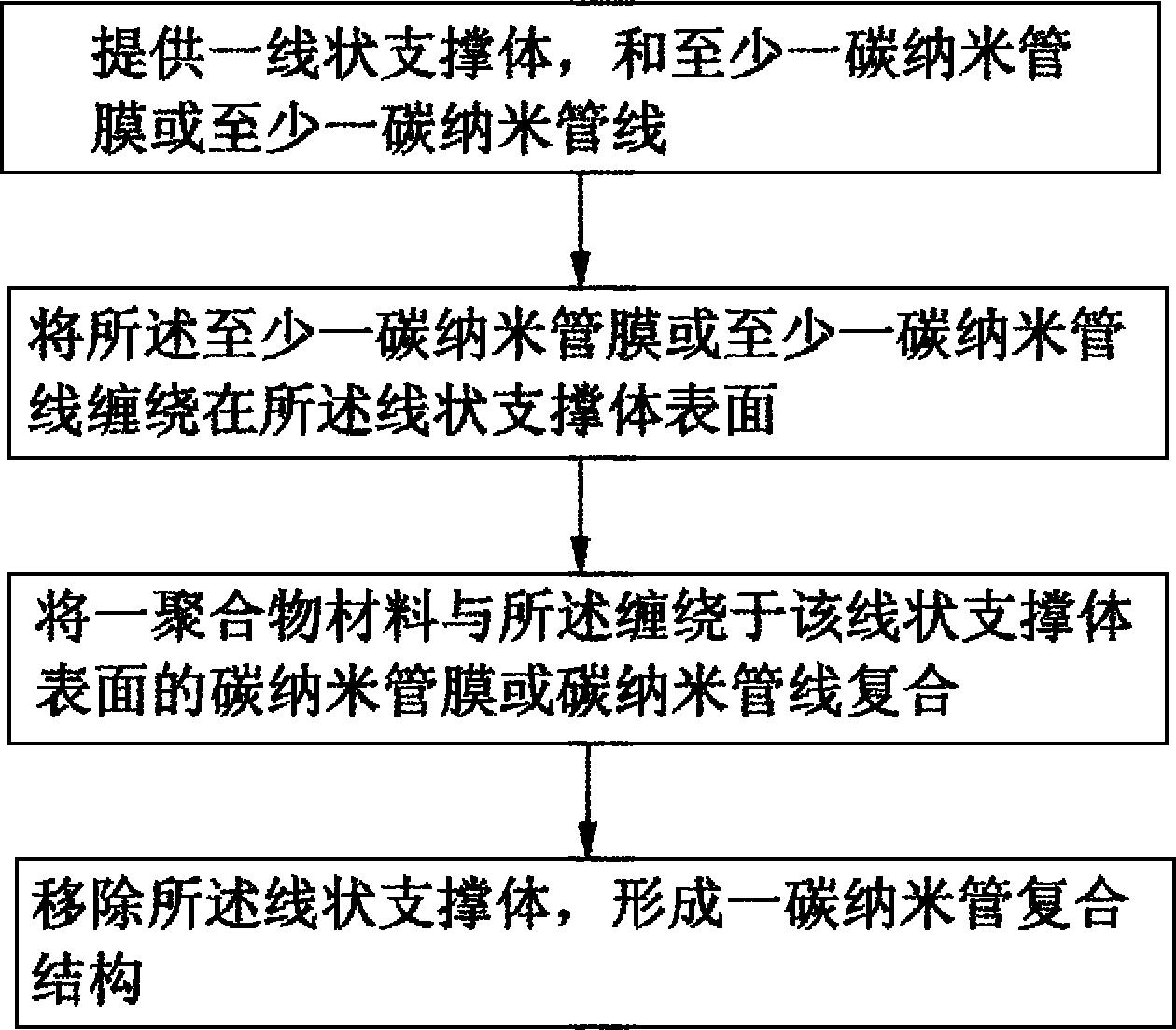 碳纳米管复合结构及其制备方法