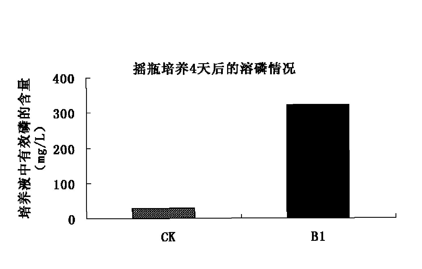 能将难溶性磷酸盐转化为可溶性磷酸盐的菌株B1