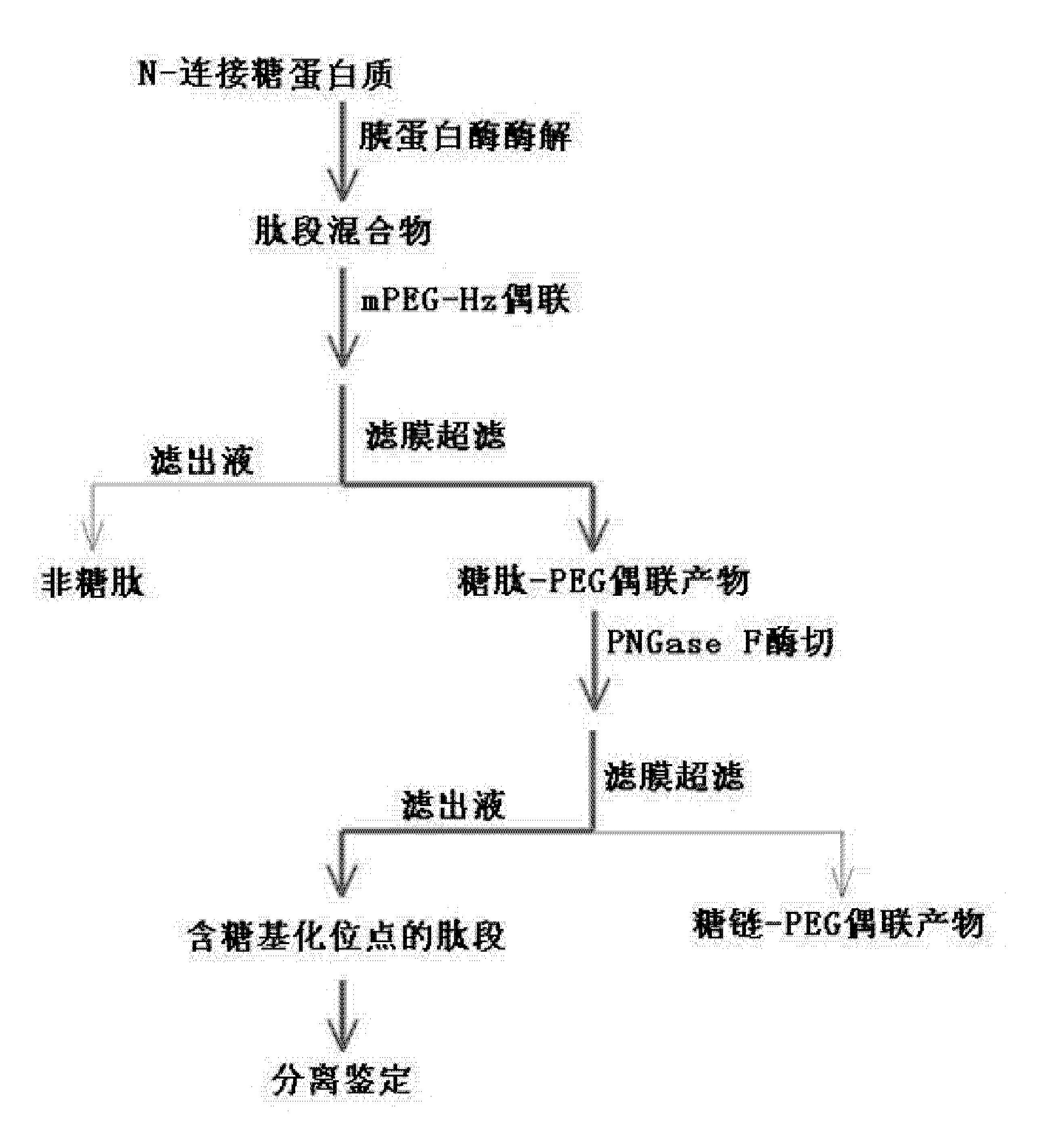 一种聚乙二醇偶联结合超滤离心分离富集糖肽的方法