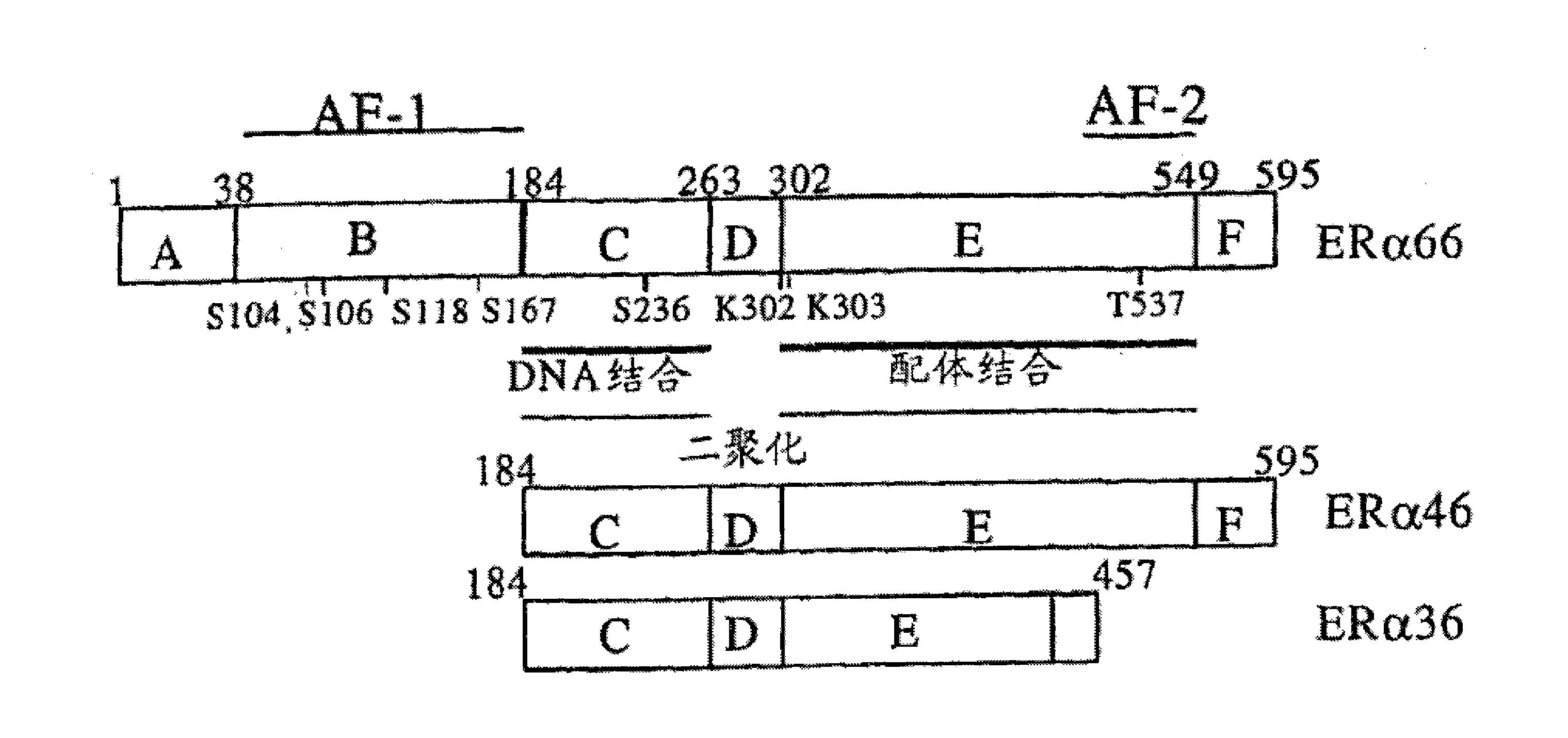 雌激素受体和使用方法