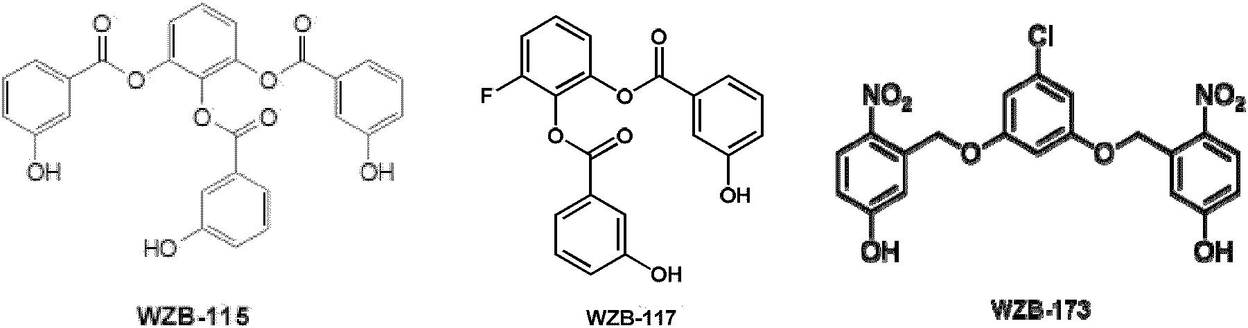 用于葡萄糖转运抑制的组合物和方法