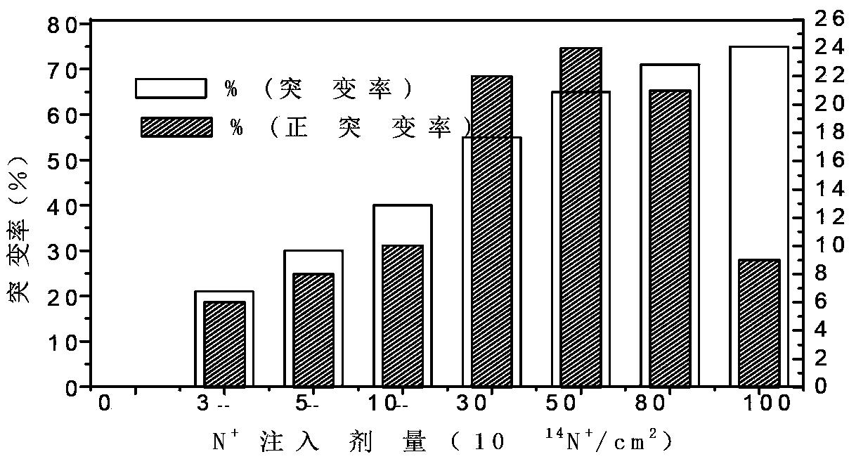 碱性蛋白酶高产菌株及其所产的碱性蛋白酶