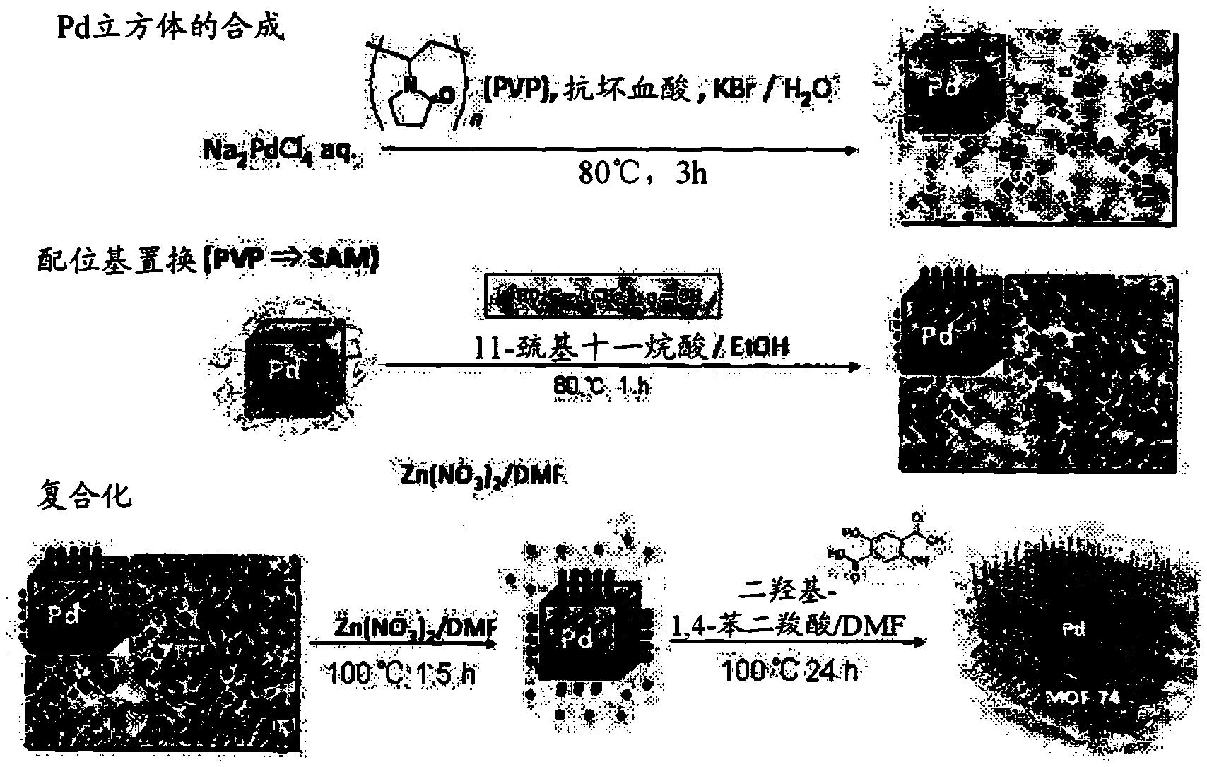 金属纳米粒子的PCP复合体及其制造方法