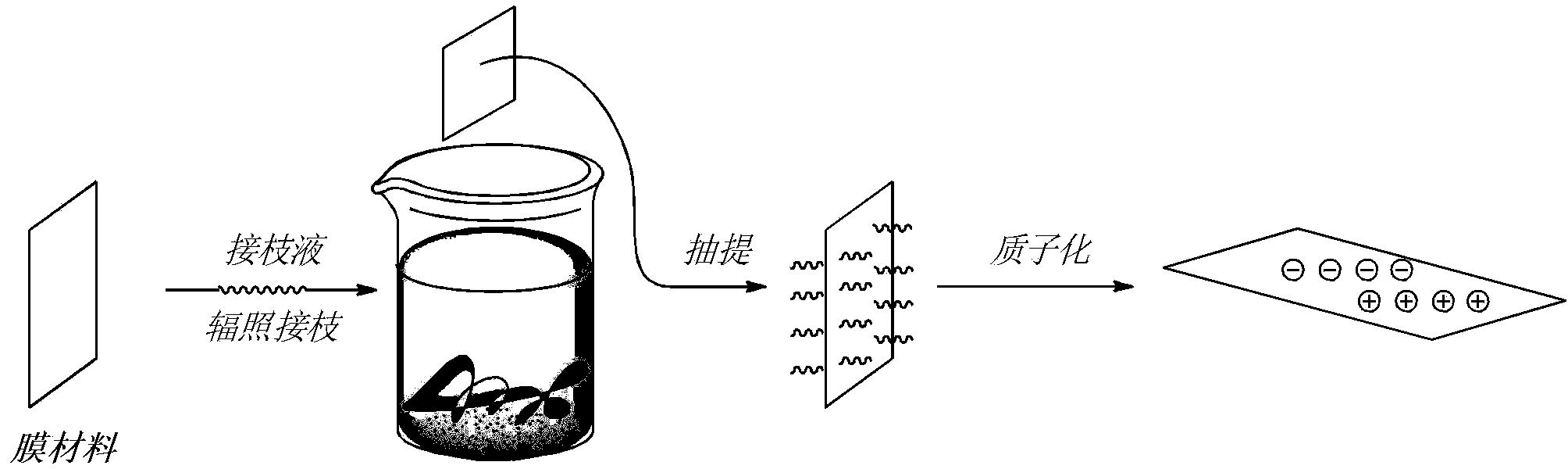 一种季铵化两性离子交换膜的制备方法